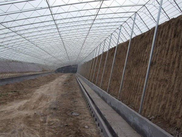 Intelligent sunlight greenhouse