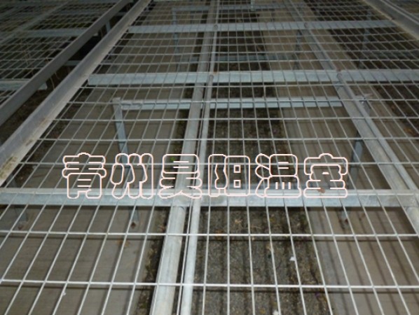 Greenhouse mobile seedbed