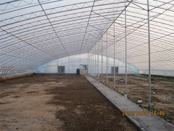 花卉大棚建設