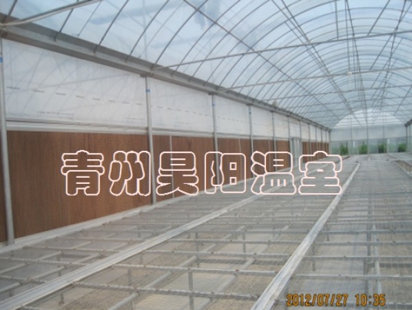 Greenhouse mobile seedbed